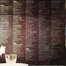Laden Sie das Bild in den Galerie-Viewer, Al Di Meola : Splendido Hotel (2xLP, Album, Ter)
