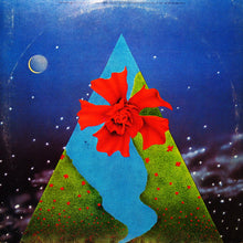 Laden Sie das Bild in den Galerie-Viewer, Mahavishnu Orchestra : Visions Of The Emerald Beyond (LP, Album, Pit)
