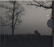 Laden Sie das Bild in den Galerie-Viewer, Don Henley : Cass County (CD, Album)
