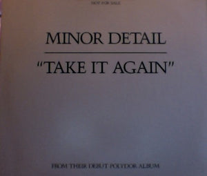 Minor Detail : Take It Again (12", Promo)