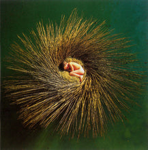 Laden Sie das Bild in den Galerie-Viewer, Peter Gabriel : OVO (CD, Album, Enh)
