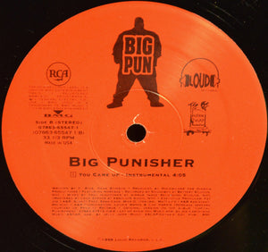 Big Punisher : You Came Up (12", Sti)