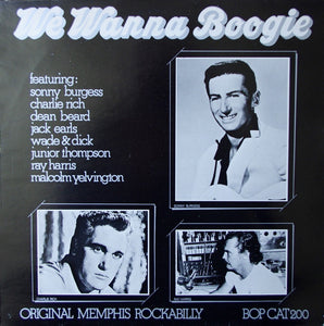 Various : We Wanna Boogie (LP, Comp, Mono, Unofficial)
