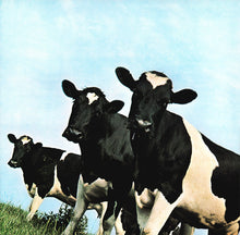 Load image into Gallery viewer, Pink Floyd : Atom Heart Mother (LP, Album, RE, RM, 180)
