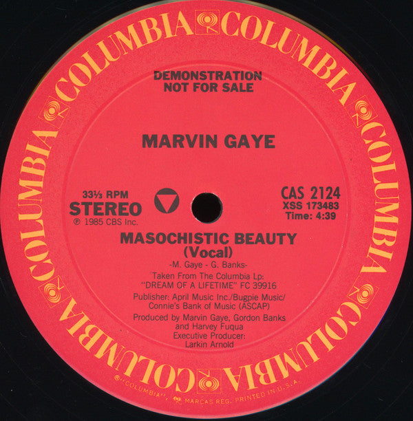 Marvin Gaye : Masochistic Beauty (12