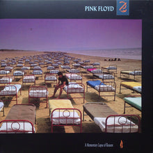 Laden Sie das Bild in den Galerie-Viewer, Pink Floyd : A Momentary Lapse Of Reason (LP, Album, RE, RM, 180)
